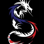 Dragons Academy